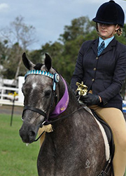 Dam: Kirreway Wave. 
Sire: Carolinas Cat's Whiskers
Champion show hunter pony Brisbane Royal 2011